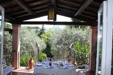Villa in Grottaferrata (Roma) or holiday homes and vacation rentals