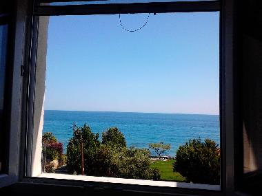 VIEW FROM BEDROOMS WINDOW