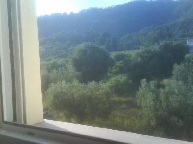 VIEW FROM KITCHENS WINDOW