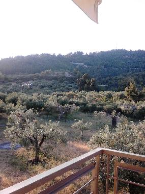 VIEW FROM THE REAR BALCONY