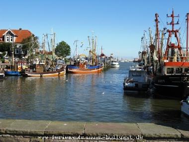 Holiday Apartment in Holtgast (Nordsee-Festland / Ostfriesland) or holiday homes and vacation rentals