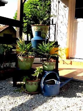 Bed and Breakfast in Pet�fisz�ll�s (Bacs-Kiskun) or holiday homes and vacation rentals