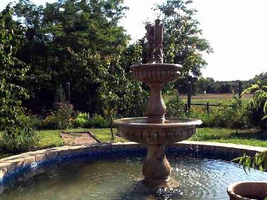 Bed and Breakfast in Pet�fisz�ll�s (Bacs-Kiskun) or holiday homes and vacation rentals
