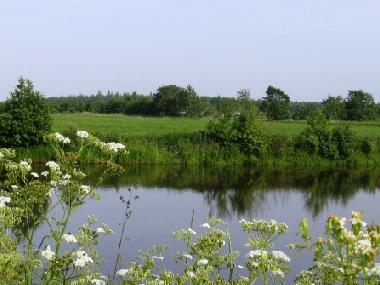 Holiday Apartment in Holtgast bei Esens / Bensersiel (Nordsee-Festland / Ostfriesland) or holiday homes and vacation rentals