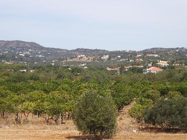 Holiday Apartment in St. Barabara de nexe / Bela Salema (Algarve) or holiday homes and vacation rentals