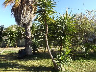 Holiday Apartment in St. Barabara de nexe / Bela Salema (Algarve) or holiday homes and vacation rentals