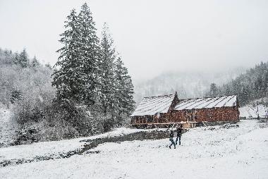 Bed and Breakfast in Gherogheni (Harghita) or holiday homes and vacation rentals