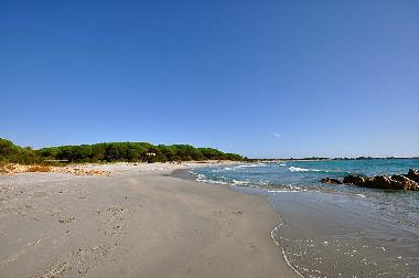 Holiday Apartment in Cala Liberotto (Nuoro) or holiday homes and vacation rentals