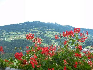 Holiday Apartment in Tschagguns (Bludenz-Bregenzer Wald) or holiday homes and vacation rentals