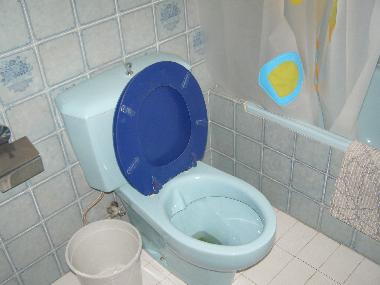 Villa in GIRONA (Girona) or holiday homes and vacation rentals