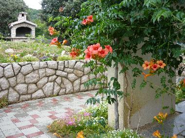 Holiday Apartment in Barbat (Primorsko-Goranska) or holiday homes and vacation rentals