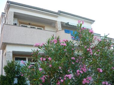 Holiday Apartment in Barbat (Primorsko-Goranska) or holiday homes and vacation rentals