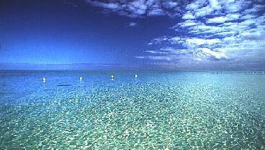 Villa in Casarano (Lecce) or holiday homes and vacation rentals