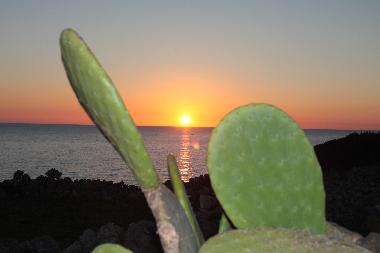 Villa in Casarano (Lecce) or holiday homes and vacation rentals