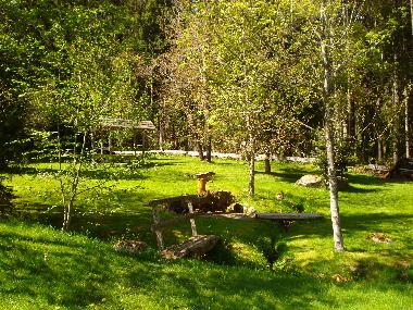 Holiday House in Feldberg-Falkau (Black Forest) or holiday homes and vacation rentals