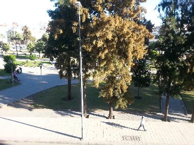 Holiday Apartment in tanger (Tanger) or holiday homes and vacation rentals