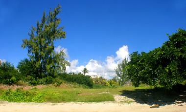 Holiday House in Grand Gaube (Riviere du Rempart) or holiday homes and vacation rentals