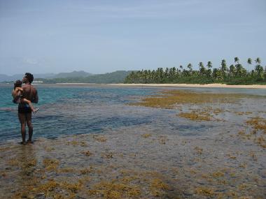 Bed and Breakfast in el limon (Samana) or holiday homes and vacation rentals