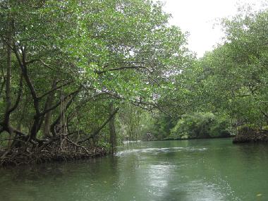 Bed and Breakfast in el limon (Samana) or holiday homes and vacation rentals