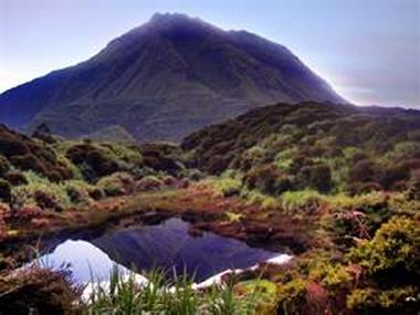 Mt. Apo