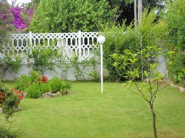 Villa in san felice circeo (Latina) or holiday homes and vacation rentals