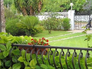 Villa in san felice circeo (Latina) or holiday homes and vacation rentals