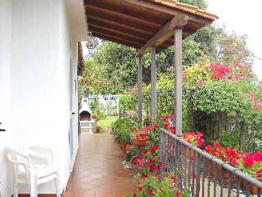 Villa in san felice circeo (Latina) or holiday homes and vacation rentals