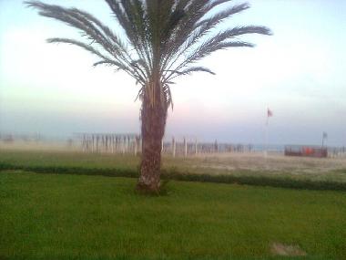 Holiday Apartment in hammamet (Nabul) or holiday homes and vacation rentals