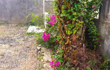 Villa in Pereybere (Pereybere) or holiday homes and vacation rentals