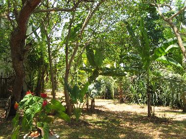 Holiday House in Tangalle (Hambantota) or holiday homes and vacation rentals