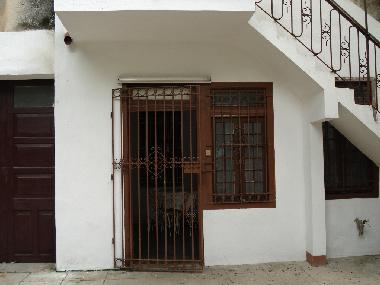 Front view in backyard