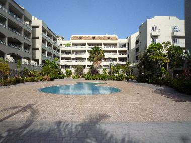 Holiday Apartment in  Los Cristianos Palm Mar (Teneriffa) or holiday homes and vacation rentals