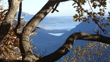 Holiday Apartment in colloro (Verbano-Cusio-Ossola) or holiday homes and vacation rentals