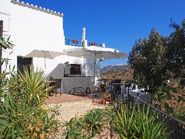 Olive suite private terrace