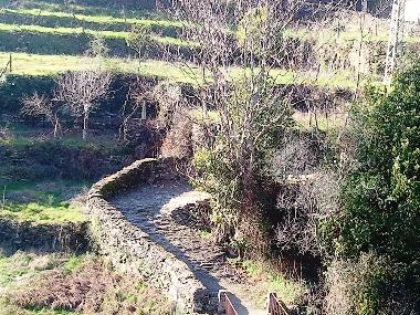 Landscape - ancient path