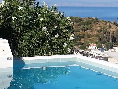 View from the pool