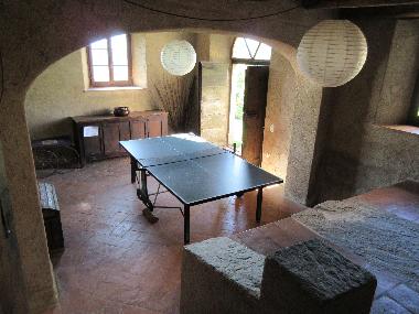Indoor tennis table 