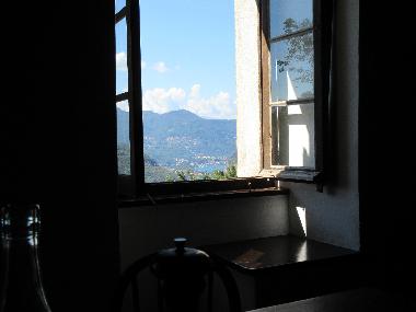 One of the two windows in the kitchen