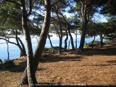 Holiday Apartment in Pula (Istarska) or holiday homes and vacation rentals