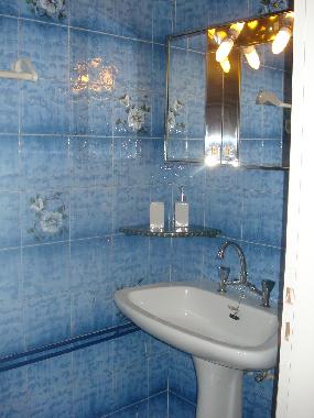 THE LITTLE BATH IN MASTER BEDROOM