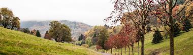 Holiday House in Gieubel (Thuringian forest) or holiday homes and vacation rentals