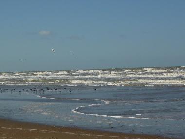 Holiday House in De Panne (Flanders) or holiday homes and vacation rentals