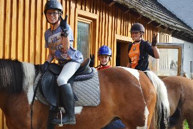 Chalet in Mariapfarr (Lungau) or holiday homes and vacation rentals