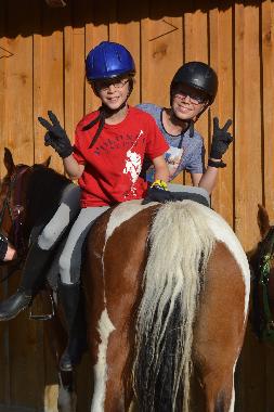 Chalet in Mariapfarr (Lungau) or holiday homes and vacation rentals