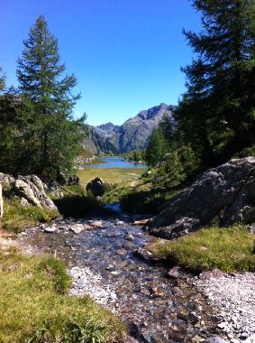 Chalet in Mariapfarr (Lungau) or holiday homes and vacation rentals