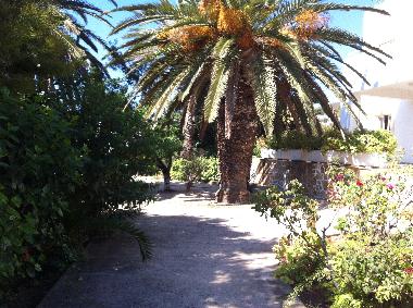 Holiday House in Alinda (Dodekanisos) or holiday homes and vacation rentals