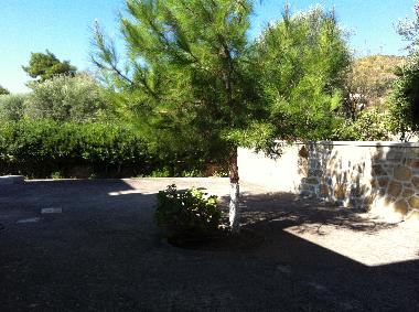 Garden back of the house