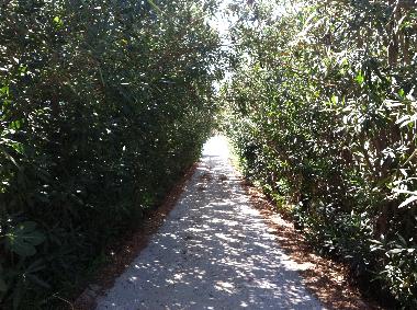 Holiday House in Alinda (Dodekanisos) or holiday homes and vacation rentals