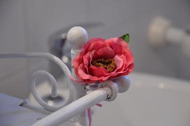 particularity of the washbasin