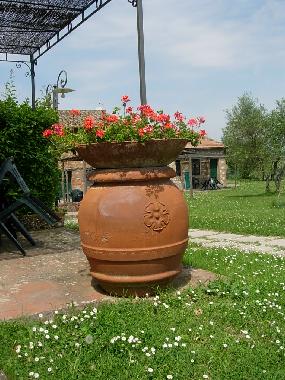 Holiday Apartment in Montaione (Firenze) or holiday homes and vacation rentals